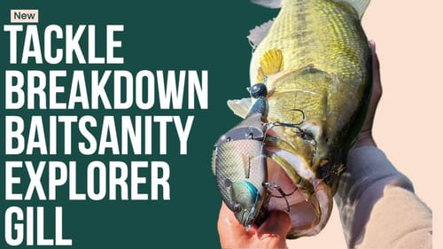 Baitsanity Explorer Gill Tackle Breakdown with @OliverNgy