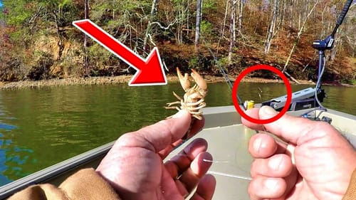 THIS CATCHES A LOT OF FISH!!!