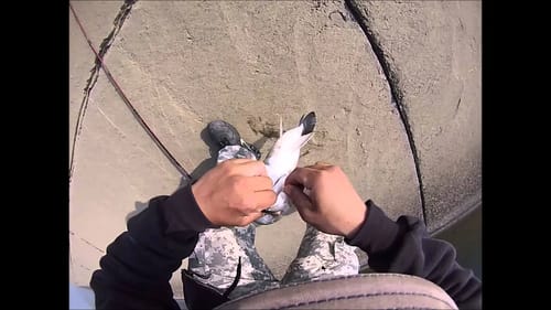 Striper Fishing California Aqueduct 1/10/15