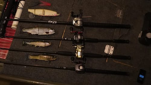 My Swimbait Set Ups For The 2019/2020 Season!