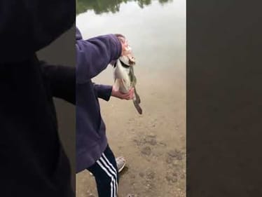 MONSTER BASS swims off! Subscribe:)