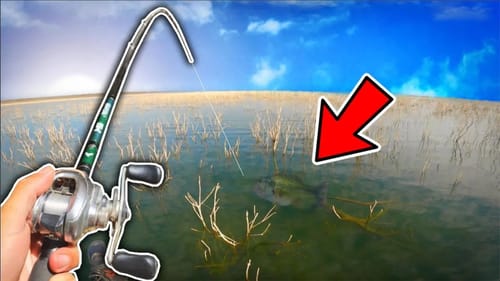 The #1 TROPHY Lake in the World had a BIG Surprise For Me…