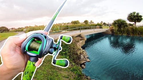 Fishing for POND Monsters in Florida (Surprise Catch)