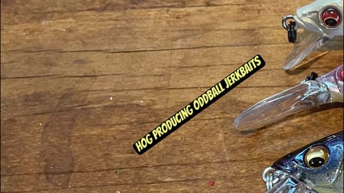Why Late Fall Bass Prefer These 3 Jerkbaits