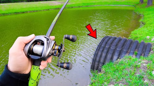 This SMALL Pond is LOADED w/ GIANT Bass (Bank Fishing)