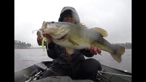 Chatterbait Bass Fishing in the Rain - Big Bass, Rain Gear, and GoPro's
