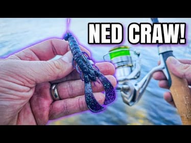 Bass CRUSHED the Scoundrel Rig! (Spring Bank Fishing)