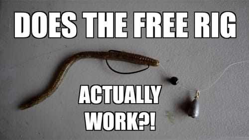 How to Fish the Free rig -  Does the Free Rig ACTUALLY WORK??