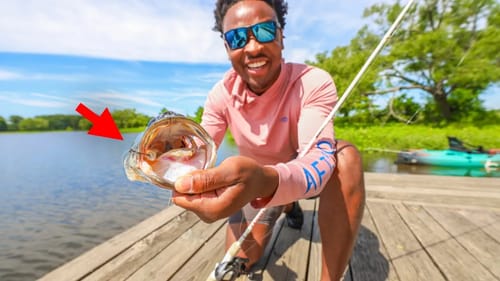 BEST Lure For Right Now For Summer Bass (this lure saved my day!)