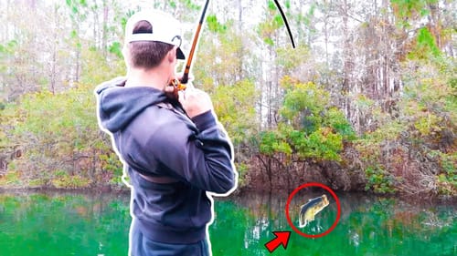 Catching GIANT Bass w/ BIG Jigs (Lake Fishing)