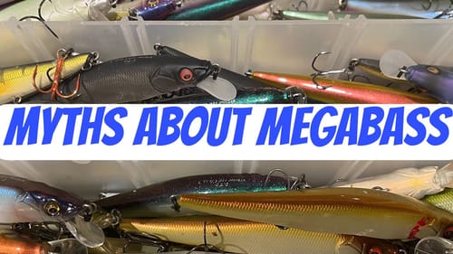 The No. 1 Most Misunderstood Thing About Megabass Jerkbaits
