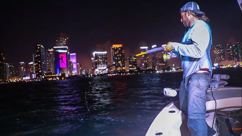 Catching 150lbs MONSTER Fish In Downtown Miami