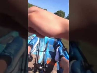 Giant BASS DESTROYS Topwater! #shorts