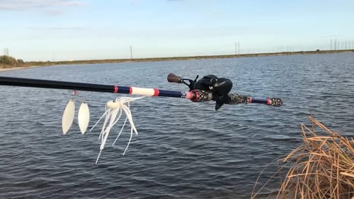 Fishing In The Land Of GIANTS
