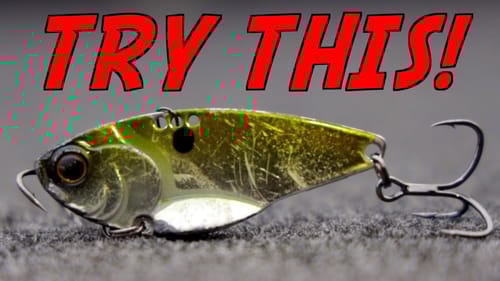 Winter Bass CAN'T RESIST This Lure!