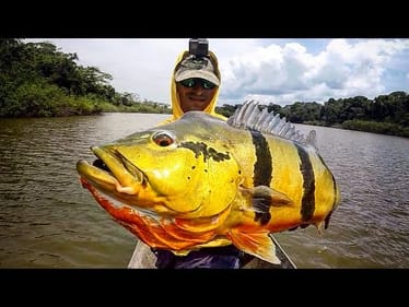 HIDDEN AMAZON LAGOON has GIANT FISH!!