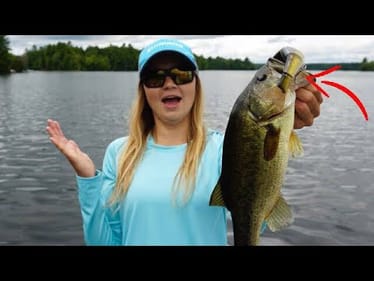 Big Swimbait Fishing for Northern Bass!