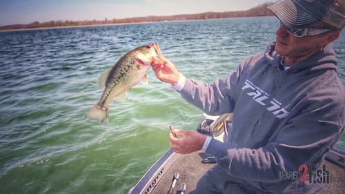 Vary Rattling Bait Retrieves for More Bass