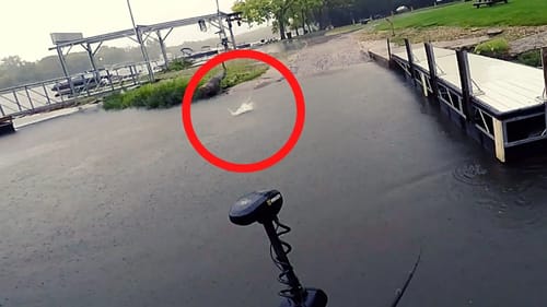 Do BASS Hit TOPWATERS After THUNDERSTORMS???