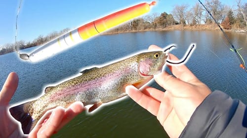 Bass Fishing w/ LIVE Trout!!! --BEST Bait for Big Fish???