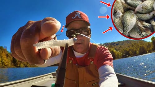I Caught OVER 30 Crappie EASY With This SIMPLE Tip!