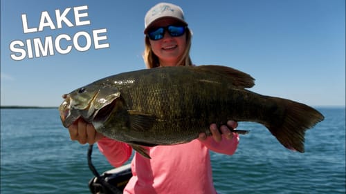 One Bite is ALL it Takes!!