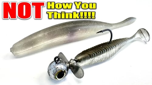 Fall To Winter These Catch Fish - But NOT How You Think