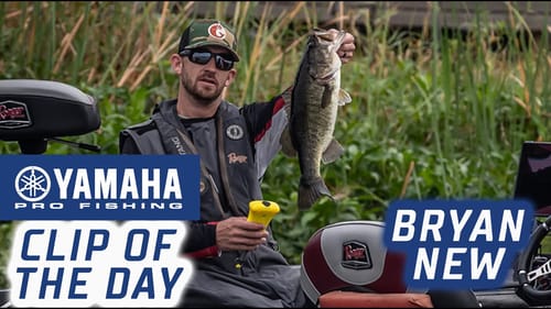 Yamaha Clip of the Day - New's Final Catch to Seal the Deal