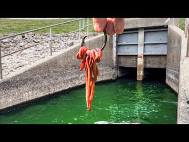 A RARE MONSTER was Living in This DEEP SPILLWAY!!! (Surprise Catch)