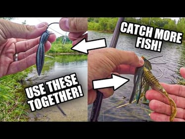 Chatterbait and Wacky Rig DEFINITELY Catch Bass! (Bank Fishing)