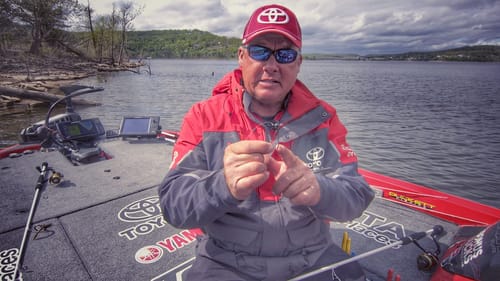 How to Rig and Fish a Shaky Head Worm