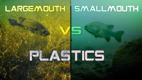 Drop Shot Baits for Largemouth vs. Smallmouth Bass