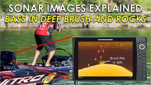 What Bass Look Like on Your Fish Finder in Deep Brush and Rocks
