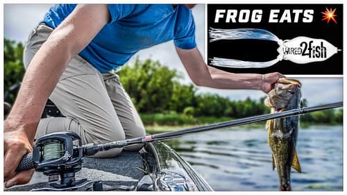 Hollow Body Frogging Bass in Heavy Grass | Insane Blowups! 💥