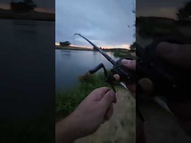 SwimFrat sound what it does best,  catching bass!