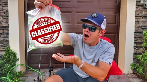Fall Bass Fishing Lures YOU NEED For Your Tackle Box!