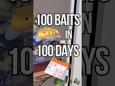 100 Baits in 100 Days - Day 2: #fishing #fishinglures
