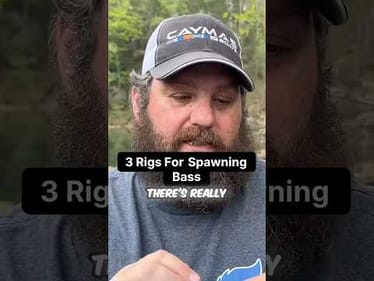 Three Rigs For Spawning Bass