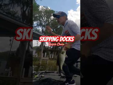 Skipping 🎣 Docks Harris Chain MLF Toyota Series #short #bassfishing #harrischain