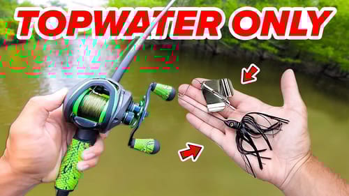 Fishing TOPWATER ONLY for GIANT Bass (River Fishing)