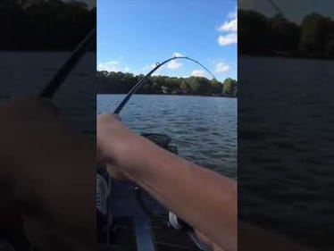 Caught a Bass while on the Phone!? #shorts
