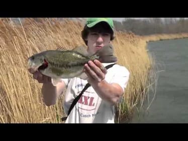 Spinnerbait Bass: (4/10/11