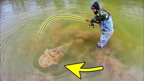 I’ve been CHASING THIS FISH for YEARS!!! (MONSTER)