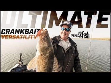 Breaking Down This Reimagined Crankbait