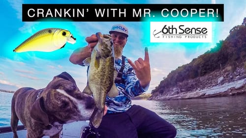 SQUARE BILL CRANKBAIT FISHING! Dobyns Fury / Crush 50S ADDICTED! "Crankin' With Mr. Cooper!"