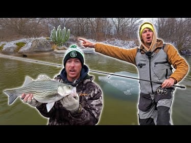 Fishing ICEY Banks for Heavy Hybrid Striped Bass with Jon B