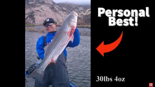 Oliver Ngy's Personal Best Striped Bass on a 10" Swimbait