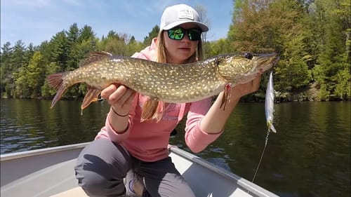 Northern Pike LOVE This Lure!!