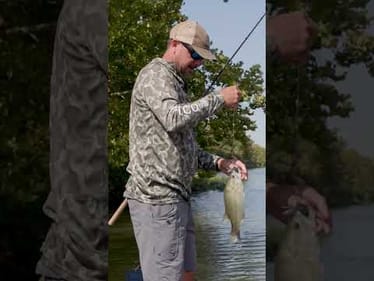 NEVER do THIS with a BUZZBAIT! (Quick Lesson!)