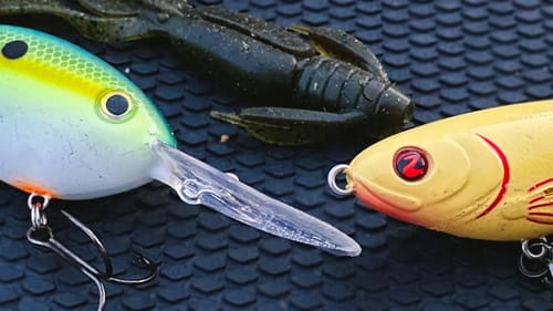 Summer Fishing Tricks: Early Morning Bite (Whopper plopper and Crankbait)